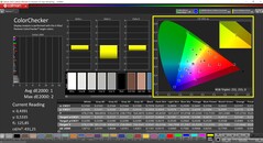 CalMAN ColorChecker (profiel: P3, doelkleurruimte: P3)