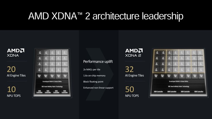 Overzicht van AMD XDNA2 (bron: AMD)