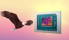 AMD Bald Eagle Point zou, als het niet wordt geschrapt, volgend jaar op de markt kunnen komen. (Afbeeldingsbron: AMD, FlashBuddy, bewerkt)