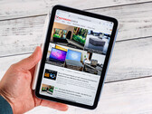 Apple iPad mini 7 Review. (Afbeeldingsbron: Daniel Schmidt)