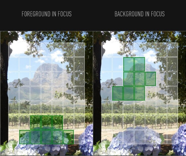 Met de focus select functie van de Panasonic ZS99 kunnen fotografen foto's opnieuw scherpstellen nadat ze zijn genomen. (Afbeeldingsbron: Panasonic Japan)