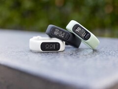 Garmin heeft een nieuwe firmware-update uitgebracht voor de Vivosmart 5. (Afbeelding bron: Garmin)