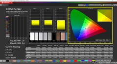 CalMAN ColorChecker (profiel: sRGB, doelkleurruimte: sRGB)