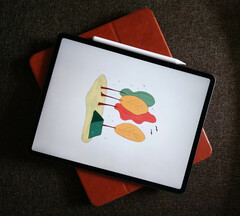 Het lijkt erop dat Apple de basis legt voor de volgende iPad-release met iPadOS 17.5. (Afbeeldingsbron: Tony Sebastian)