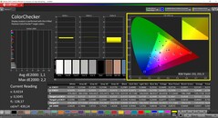 CalMAN ColorChecker (profiel: sRGB, doelkleurruimte: sRGB)