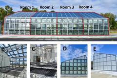 Er werd gebruik gemaakt van vier afzonderlijke kamers met verschillende graden van bedekking met transparante zonnepanelen. (Afbeeldingsbron: Murdoch University)