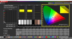 CalMAN ColorChecker (profiel: P3: doelkleurruimte: P3)