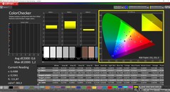 CalMAN ColorChecker (profiel: P3, doelkleurruimte: P3)