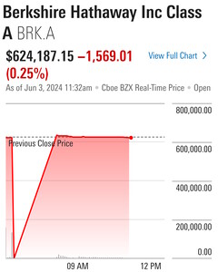 Door NYSE-storing verliezen tientallen aandelen bijna alle waarde totdat ze verholpen zijn. (Bron: Morningstar)