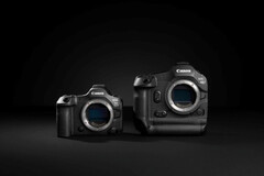 Canon EOS R5 Mark II (links) en de R1 (rechts) (Bron: Canon)