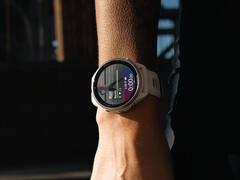 Garmin is al bezig met het onderzoeken van gemelde problemen die naar verluidt van invloed zijn op Stable Version 21.19. (Afbeelding bron: Garmin)