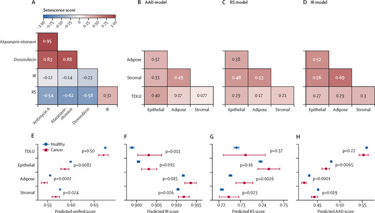 Weefselclassificatie en toekomstige kankerdiagnose. (Afbeeldingsbron: The Lancet Digital Health)