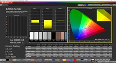 CalMAN ColorChecker (profiel: gekalibreerd, doelkleurruimte: P3)