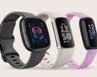 Google heeft hard gewerkt om te voorkomen dat de producten van Fitbit de verkoop van de Pixel Watch kannibaliseren (Afbeelding bron: Fitbit)