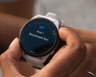 Sommige Garmin Forerunner smartwatches ontvangen beta-update versie 21.16. (Afbeelding bron: Garmin)