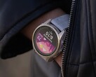 Beta-versie 19.38 wordt OTA uitgerold naar de Garmin Fenix 7 en verwante smartwatches. (Afbeeldingsbron: Garmin)