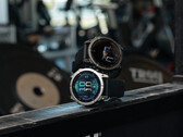 Garmin heeft meer dan 100 bugfixes uitgebracht voor de Enduro 3, Fenix E en Fenix 8 sinds hun release in de zomer. (Afbeelding bron: Garmin)