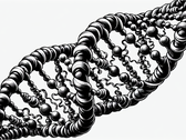 Nieuwe opslagtechniek voor DNA maakt gebruik van epigenetisch "printen" om de snelheid te verhogen en de kosten te verlagen (Afbeeldingsbron: DALL-E 3)