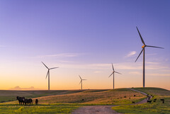 Enel&#039;s Smokey Hills Windmolenpark. Referentiefoto. (Afbeeldingsbron: Enel)