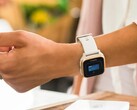 Het gerucht gaat dat nieuwe contactloze betaaldiensten zullen worden geïntroduceerd op Garmin smartwatches. (Afbeeldingsbron: Garmin)