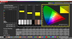 CalMAN ColorChecker (Profiel: sRGB, Kleurruimte: sRGB)