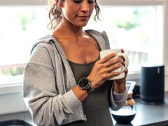 Amazfit smartwatch gebruikers hebben feedback gedeeld over hun Food Log testervaring. (Afbeeldingsbron: Amazfit)