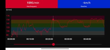 Polar H10 borstband