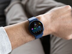 De Garmin betaversie 13.17 zou de Body Battery metric voor sommige smartwatches verbeteren. (Afbeeldingsbron: Garmin)