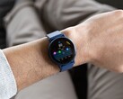 De Garmin betaversie 13.17 zou de Body Battery metric voor sommige smartwatches verbeteren. (Afbeeldingsbron: Garmin)