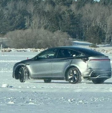 2025 Model Y Juniper zijden