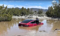 Tesla&#039;s FSD dreef deze Model 3 in een waterig graf. (bron: Wham Baam Teslacam op YouTube)