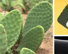 Cactussen: nu voor smartphonebescherming. (Bron: Otterbox)