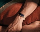 De Xiaomi Smart Band 9 is officieel gelanceerd. (Afbeeldingsbron: Xiaomi)