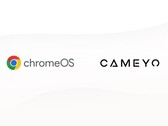 Google neemt Cameyo over (Bron: Google Cloud Blog)