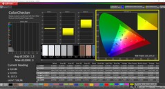CalMAN ColorChecker (profiel: sRGB, doelkleurruimte: sRGB)