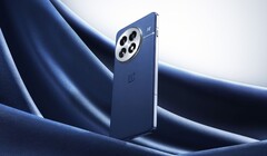 De OnePlus 13 is gelanceerd in China, maar een wereldwijde releasedatum moet nog worden aangekondigd. (Afbeeldingsbron: OnePlus)