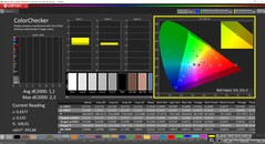 CalMAN ColorChecker (profiel: P3, kleurdoelruimte: P3)