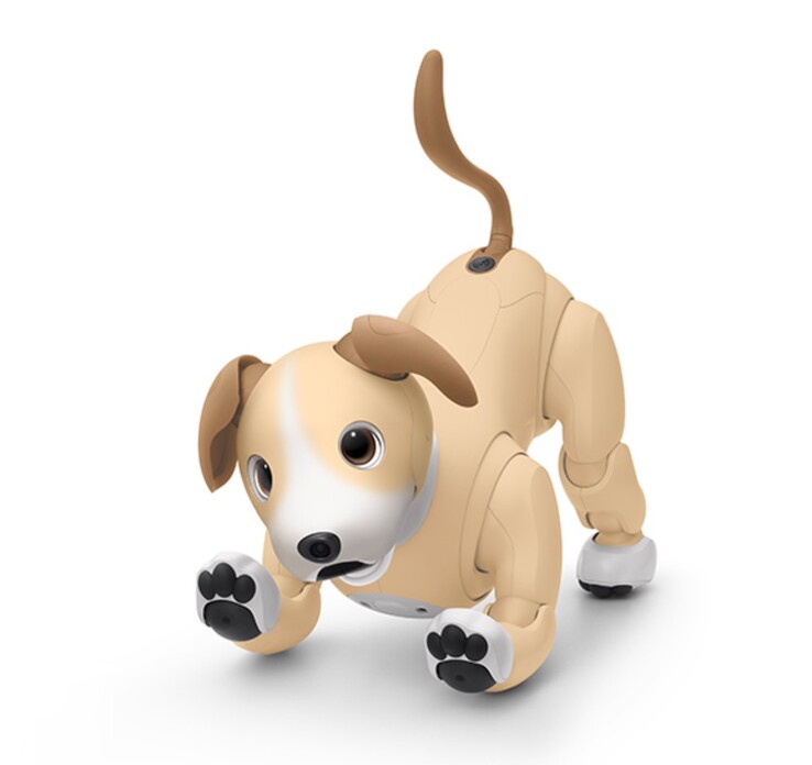 De Aibo Kinako Edition is een gelimiteerd model voor 2024, alleen verkrijgbaar tot de voorraad op is. (Afbeeldingsbron: Sony)