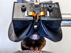 Cornell University onderzoekers creëren MouseGoggles Duo 3D VR headset prototype voor muizen. (Afbeeldingsbron: Cornell University)