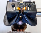 Cornell University onderzoekers creëren MouseGoggles Duo 3D VR headset prototype voor muizen. (Afbeeldingsbron: Cornell University)