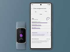 Fitbit heeft voor sommige gebruikers een nieuwe pagina met stressscores uitgebracht. (Afbeeldingsbron: Fitbit)