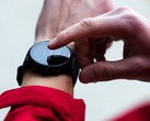 Er is een nieuwe bèta-update voor de Garmin Forerunner 955 smartwatch. (Afbeelding bron: Garmin)