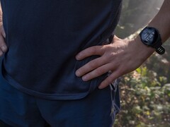 Garmin heeft softwareversie 20.29 uitgebracht voor de Forerunner 255. (Afbeelding bron: Garmin)