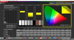 CalMAN ColorChecker (Profiel: P3, Kleurruimte: P3)