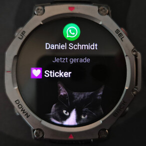 Stickers worden weergegeven op de T-Rex 3.