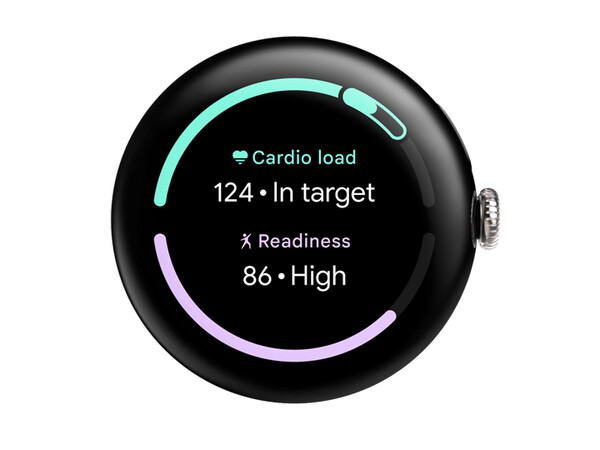 Cardiobelasting en doelbelastingmetingen zullen beschikbaar zijn als complicaties op de Pixel Watch en Pixel Watch 2. (Afbeeldingsbron: Google)