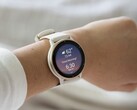 Er is een nieuwe bèta-update voor de Garmin Vivoactive 5 (boven) en Venu 3 wearables. (Afbeelding bron: Garmin)