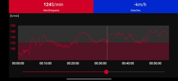 Polar H10 borstband