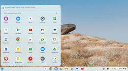 ChromeOS Flex-desktopmodus