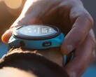 Veel ontwikkelaars hebben een probleem gemeld waardoor Garmin smartwatches vastlopen of crashen. (Afbeeldingsbron: Garmin)